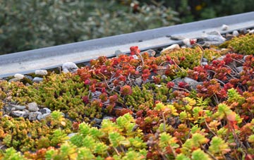 the cost of Gravel Castle green roof installation
